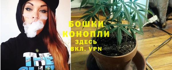 соль курить ск Белокуриха