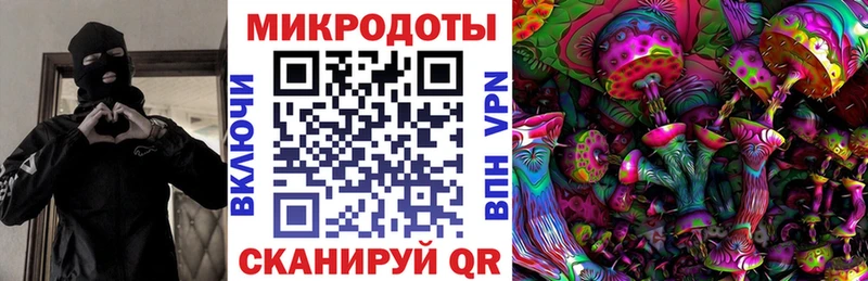 сколько стоит  Семилуки  Галлюциногенные грибы Magic Shrooms 
